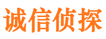 且末市侦探调查公司